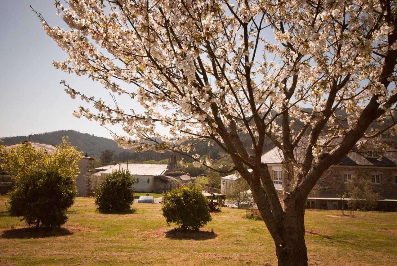 As Vinas Hotel Viveiro Luaran gambar